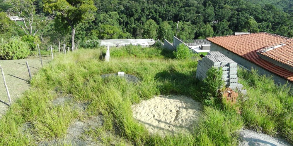 Pitangueiras Mairinque (1)